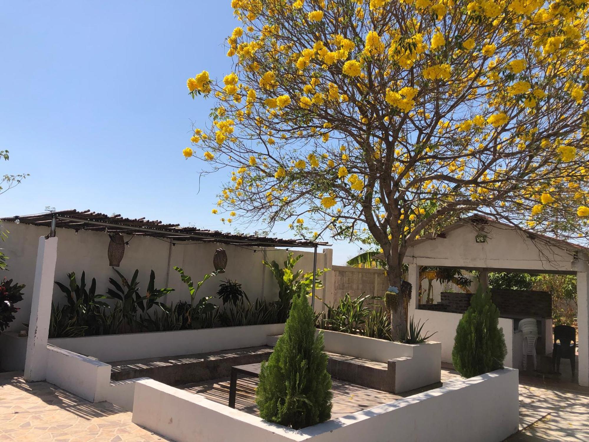 Mi Valle Km9 Valledupar